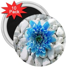 Blue 3  Button Magnet (10 Pack) by Contest1650520