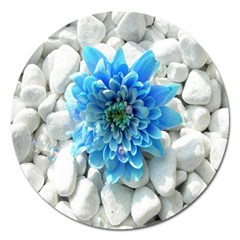 Blue Magnet 5  (round) by Contest1650520