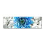 Blue Bumper Sticker 10 Pack Front