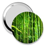 Bamboo 3  Handbag Mirror Front