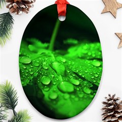 Waterdrops Oval Ornament (two Sides) by Siebenhuehner