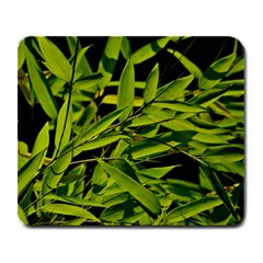 Bamboo Large Mouse Pad (rectangle) by Siebenhuehner