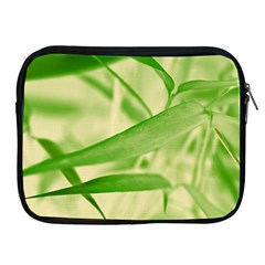 Bamboo Apple Ipad 2/3/4 Zipper Case by Siebenhuehner