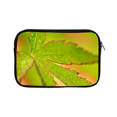 Leaf Apple Ipad Mini Zipper Case by Siebenhuehner