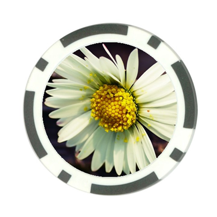 Daisy Poker Chip