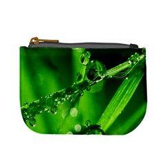 Waterdrops Coin Change Purse by Siebenhuehner