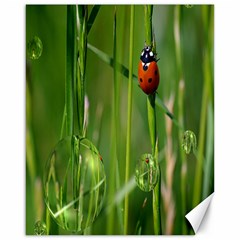 Ladybird Canvas 16  X 20  (unframed) by Siebenhuehner