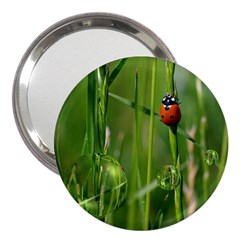 Ladybird 3  Handbag Mirror by Siebenhuehner