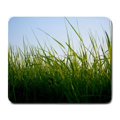 Grass Large Mouse Pad (rectangle) by Siebenhuehner