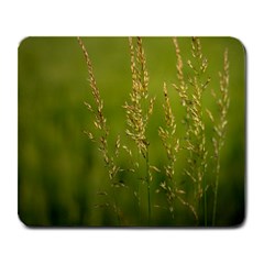 Grass Large Mouse Pad (rectangle) by Siebenhuehner