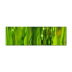 Green Bubbles  Bumper Sticker by Siebenhuehner