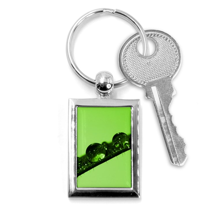 Green Drops Key Chain (Rectangle)