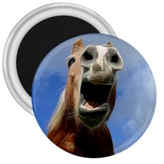 Haflinger  3  Button Magnet by Siebenhuehner