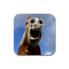 Haflinger  Drink Coasters 4 Pack (square) by Siebenhuehner