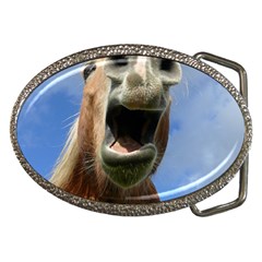 Haflinger  Belt Buckle (oval) by Siebenhuehner