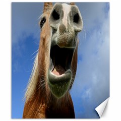 Haflinger  Canvas 8  X 10  (unframed) by Siebenhuehner