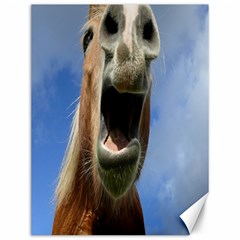 Haflinger  Canvas 12  X 16  (unframed) by Siebenhuehner