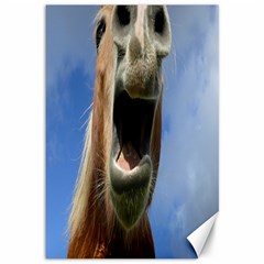 Haflinger  Canvas 12  X 18  (unframed) by Siebenhuehner