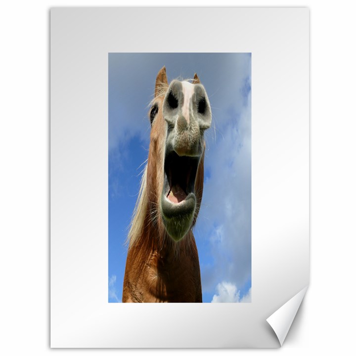 Haflinger  Canvas 36  x 48  (Unframed)