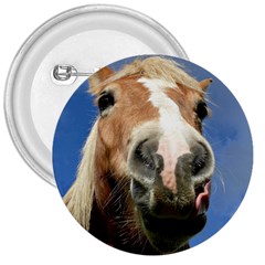 Haflinger  3  Button by Siebenhuehner