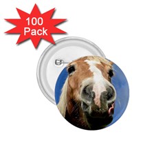 Haflinger  1 75  Button (100 Pack) by Siebenhuehner