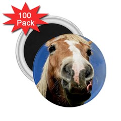 Haflinger  2 25  Button Magnet (100 Pack) by Siebenhuehner