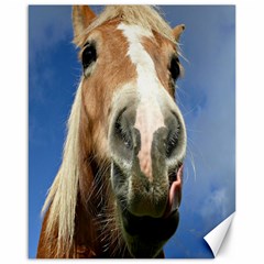 Haflinger  Canvas 16  X 20  (unframed) by Siebenhuehner