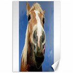 Haflinger  Canvas 24  x 36  (Unframed) 23.35 x34.74  Canvas - 1