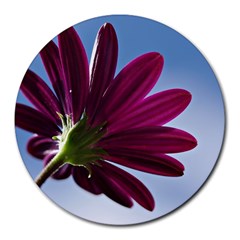 Daisy 8  Mouse Pad (round) by Siebenhuehner