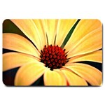 Osterspermum Large Door Mat 30 x20  Door Mat