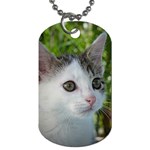 Young Cat Dog Tag (Two-sided)  Back