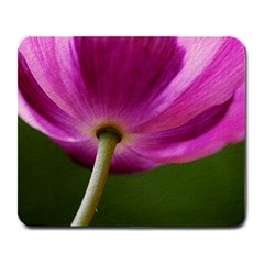 Poppy Large Mouse Pad (rectangle) by Siebenhuehner