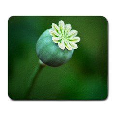 Poppy Capsules Large Mouse Pad (rectangle) by Siebenhuehner