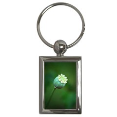 Poppy Capsules Key Chain (rectangle) by Siebenhuehner