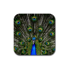 Peacock Drink Coaster (square) by Siebenhuehner