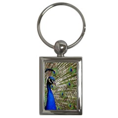 Peacock Key Chain (rectangle) by Siebenhuehner