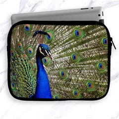 Peacock Apple Ipad 2/3/4 Zipper Case by Siebenhuehner