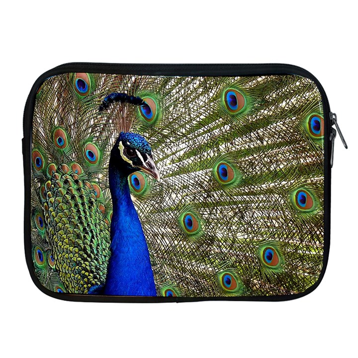 Peacock Apple iPad 2/3/4 Zipper Case