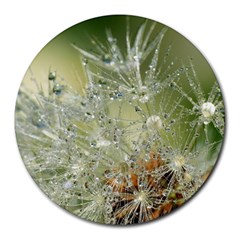 Dandelion 8  Mouse Pad (round) by Siebenhuehner