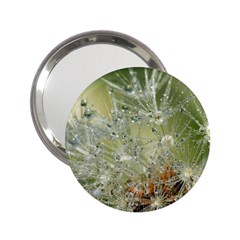 Dandelion Handbag Mirror (2 25 ) by Siebenhuehner