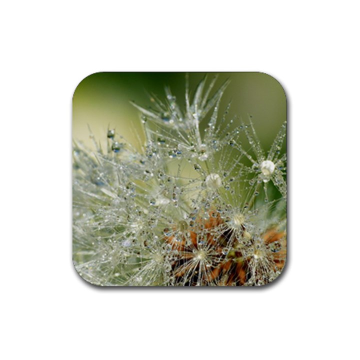 Dandelion Drink Coaster (Square)