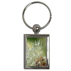 Dandelion Key Chain (rectangle) by Siebenhuehner