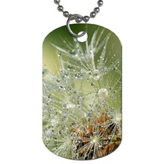 Dandelion Dog Tag (one Sided) by Siebenhuehner