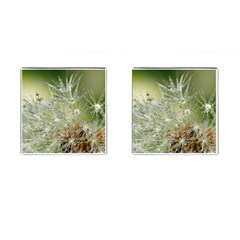 Dandelion Cufflinks (square) by Siebenhuehner