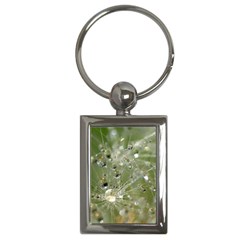 Dandelion Key Chain (rectangle) by Siebenhuehner