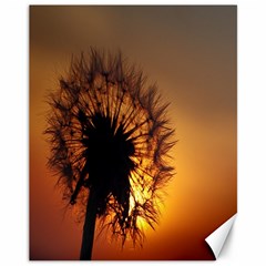 Dandelion Canvas 11  X 14  (unframed) by Siebenhuehner