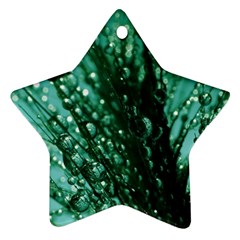 Waterdrops Star Ornament by Siebenhuehner