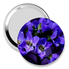 Cuckoo Flower 3  Handbag Mirror by Siebenhuehner