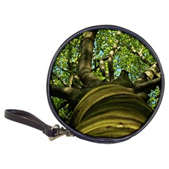 Tree Cd Wallet by Siebenhuehner