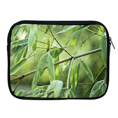 Bamboo Apple Ipad 2/3/4 Zipper Case by Siebenhuehner